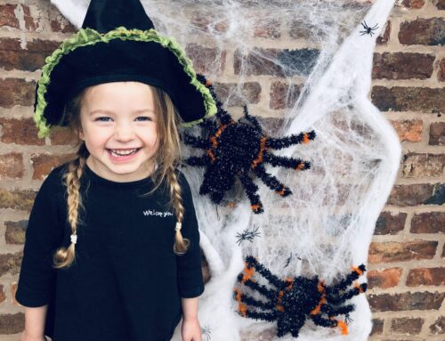 What’s on in Cumbria this October Half Term (2023)