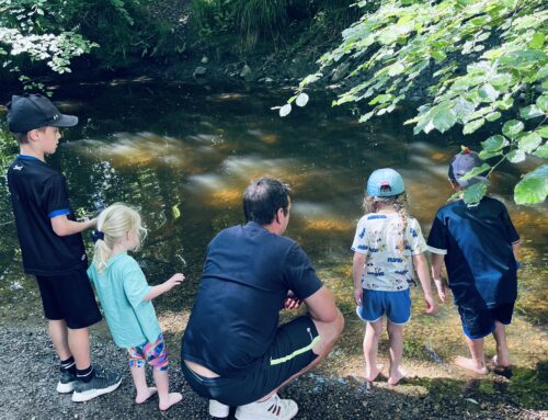 What’s on in Cumbria this Summer (2023)