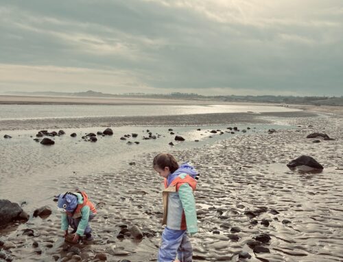 Alnmouth Beach