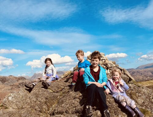 Holme Fell