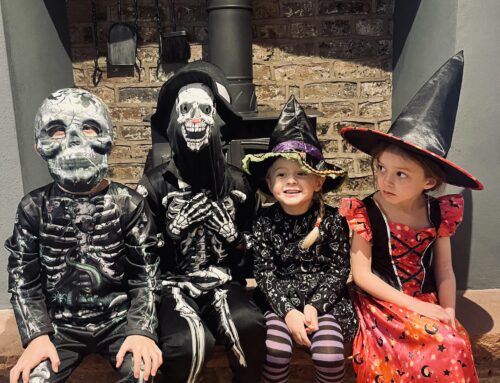 What’s on in Cumbria this October Half Term (2024)