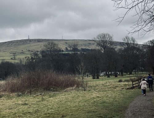 Langholm: Gallowside Wood