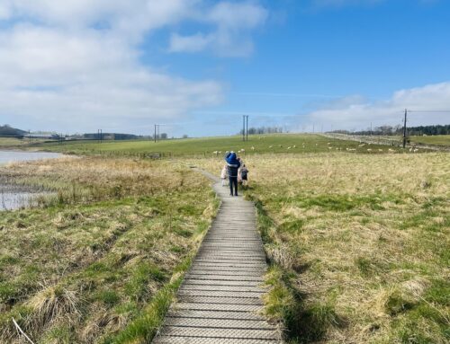 Williestruther Loch & Acreknowe Reservoir