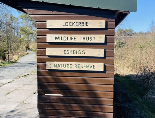 Lockerbie: Eskrigg Nature Reserve