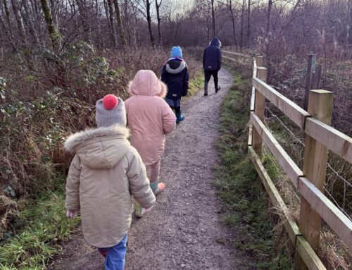 Walkmill Community Woodlands, Whitehaven