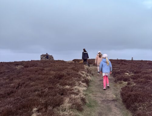 Brown How – Whinlatter Wainwright